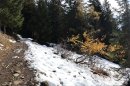 Mi neige mi terre